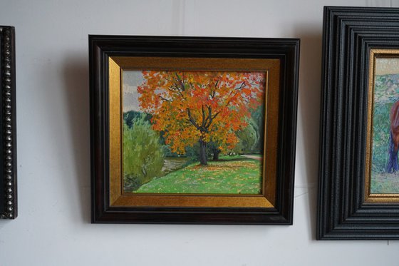 Autumn maple by the pond