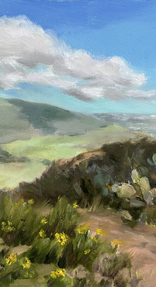 Spring Awakening by Grace Diehl
