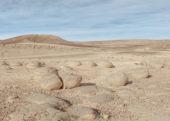 Bulbusim in the Negev Desert
