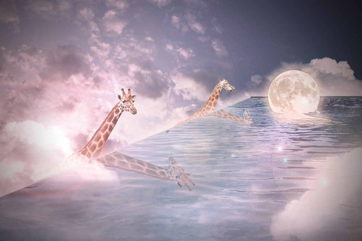 Giraffe Sky Pool Dusk by Vanessa Stefanova