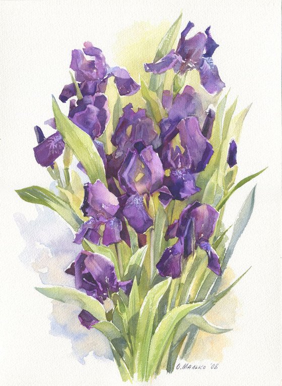 Small violet irises / ORIGINAL watercolor 11x15in (28x38cm)