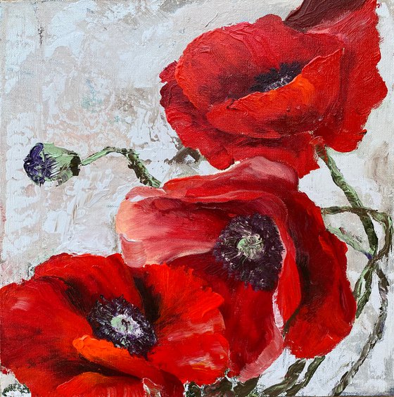 RED POPPIES