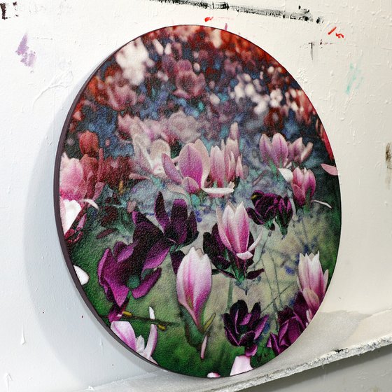 Magnolia (dianegative)