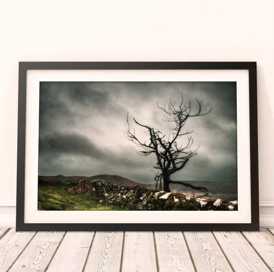 Melancholy in the Highlands