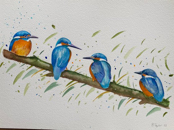 Kingfisher party. Watercolour painting
