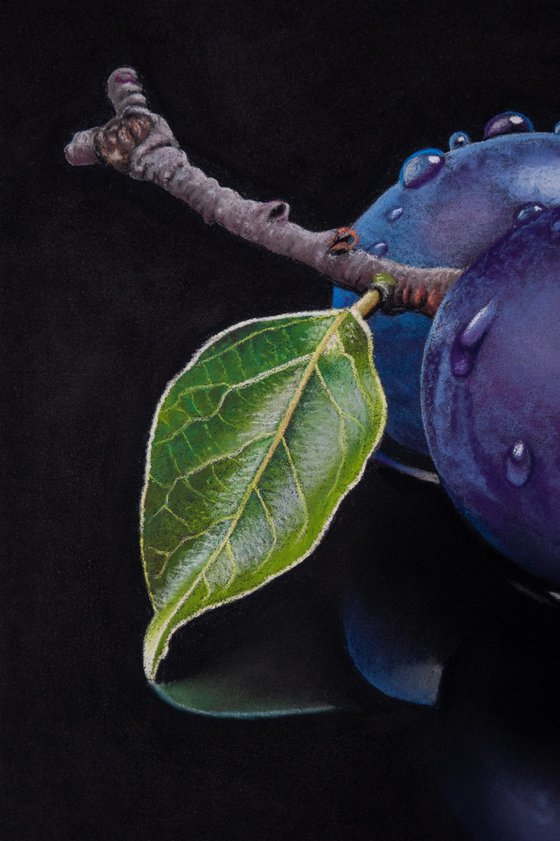 Plums and Leaf
