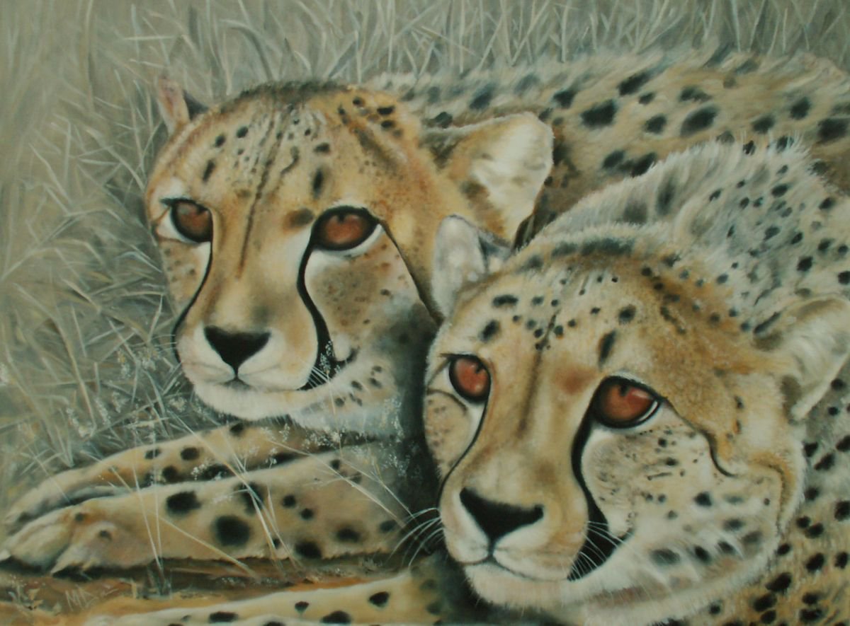 Cheetah, waiting by Mel Davies Original Art