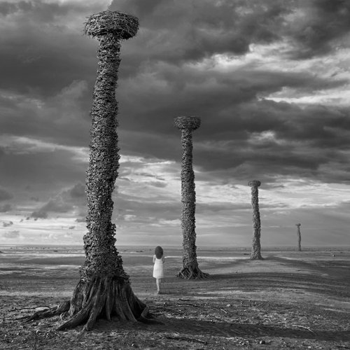 In Search Of The Nest, 100x100cm. by Dariusz Klimczak