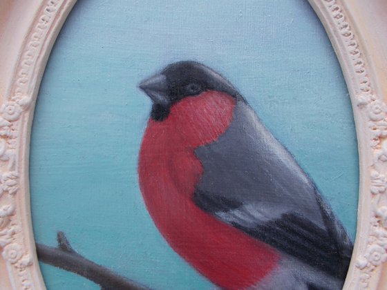 "Herald of Winter" birds