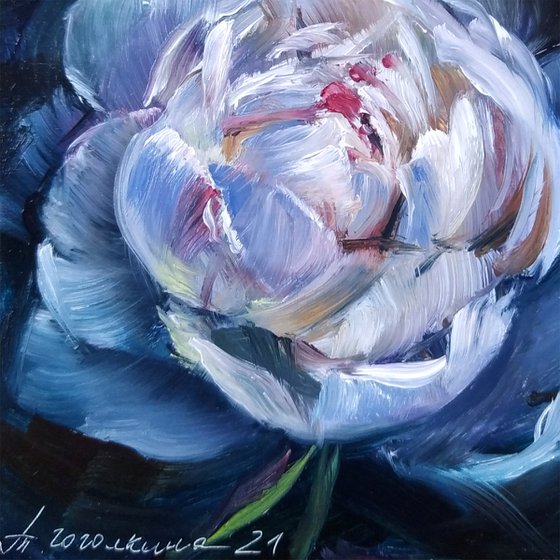 White Peony Portrait