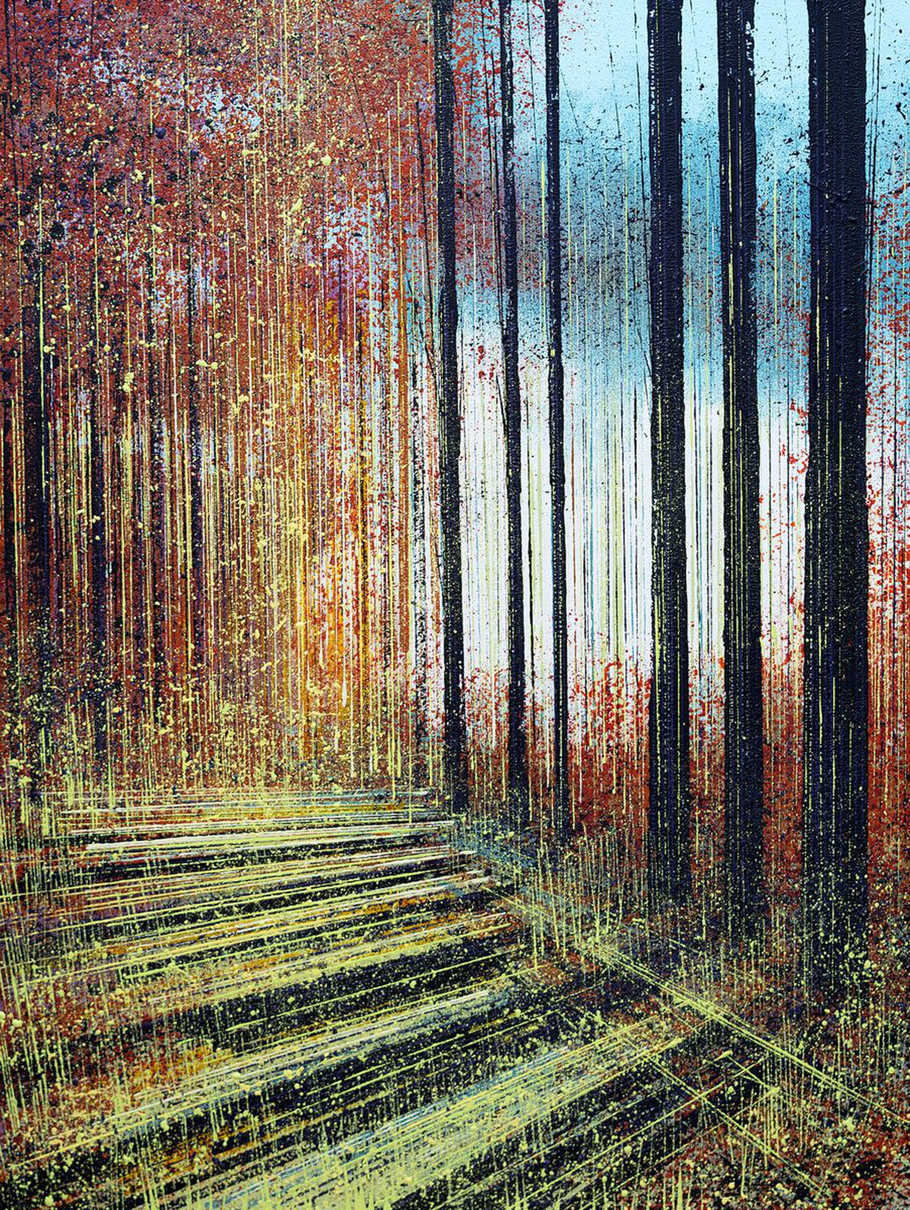 Afternoon Light Through Forest Trees Artfinder