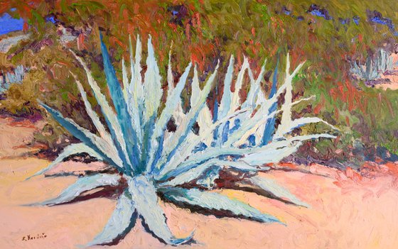 Agaves in the Desert