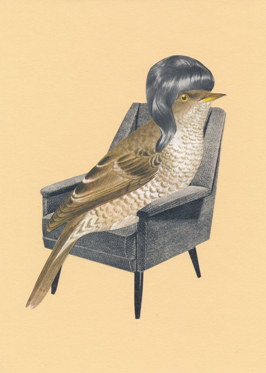 Homebird - Number #4 by Gina Ulgen