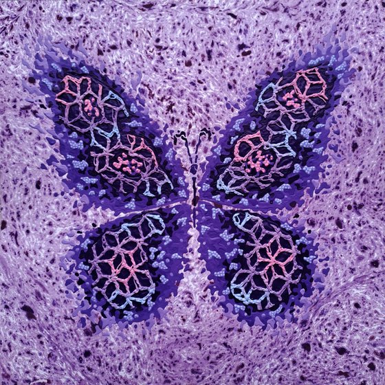 Butterfly «Spring»