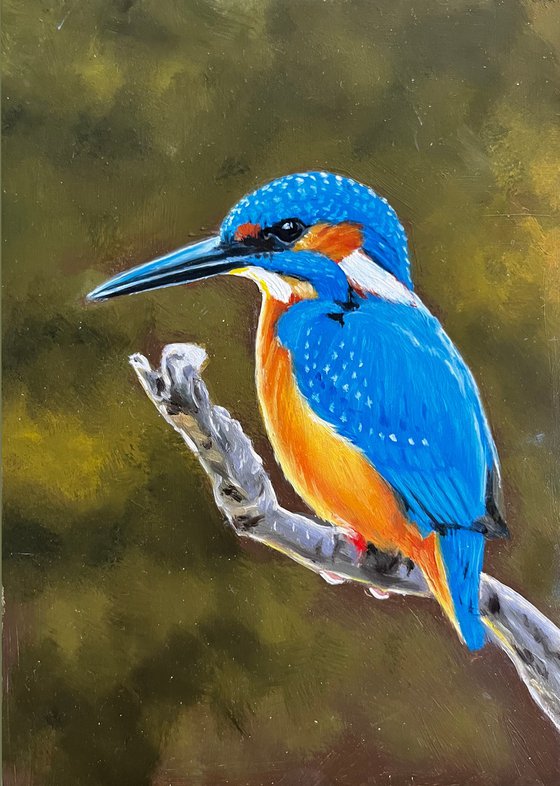 Oil Bird Triptych - Custom Commission