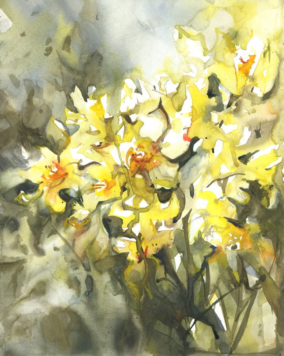 "Yellow daffodils -2"