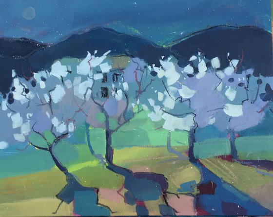 Almond Orchard at Dusk