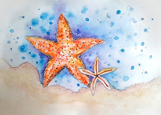 Caribbean starfish