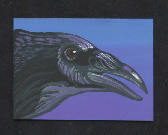 ACEO ATC Original Miniature Painting Crow Raven Bird Wildlife Art-Carla Smale