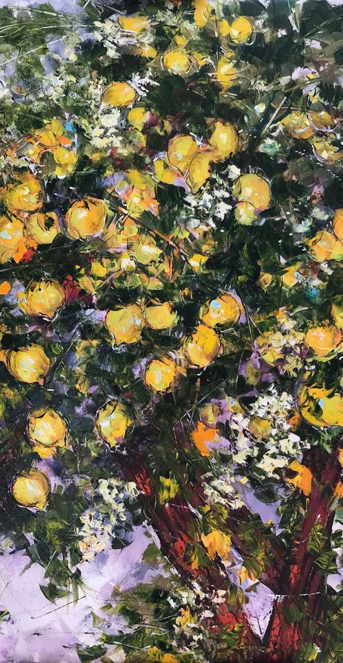 Bloomy Lemon Trees by Diana Malivani