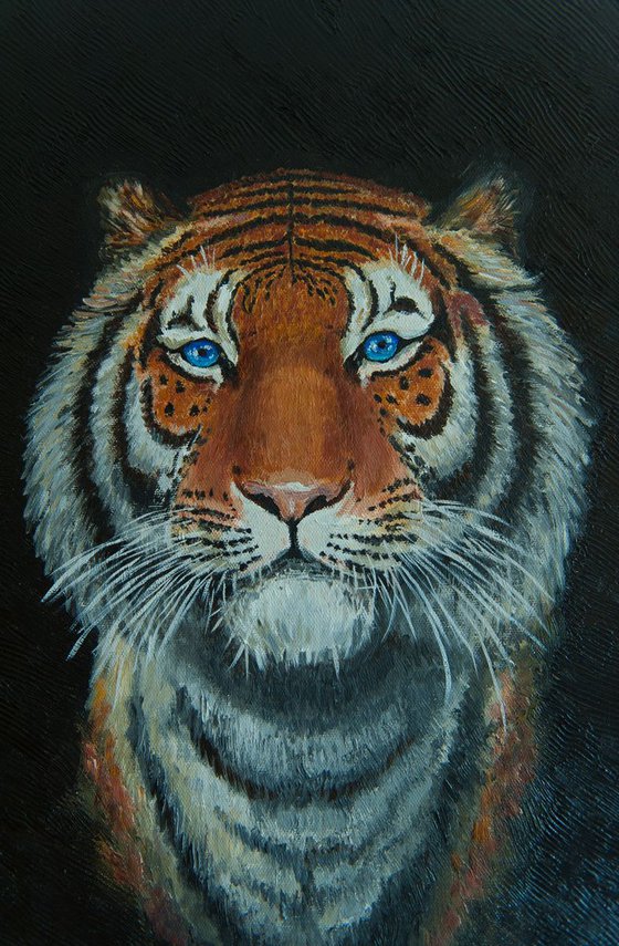 The Eyes of the Tiger