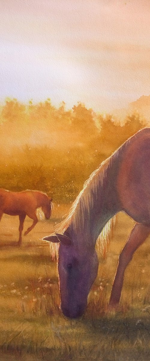 Horses Grazing on Morning Past by Olga Beliaeva Watercolour