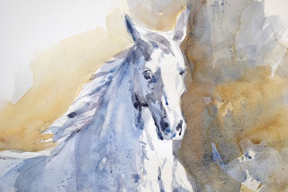 Running white  horse 5(70x50)