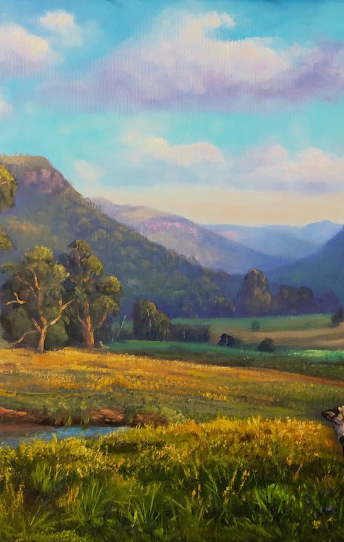 Views at Dunville Loop, Capertee Valley by Christopher Vidal