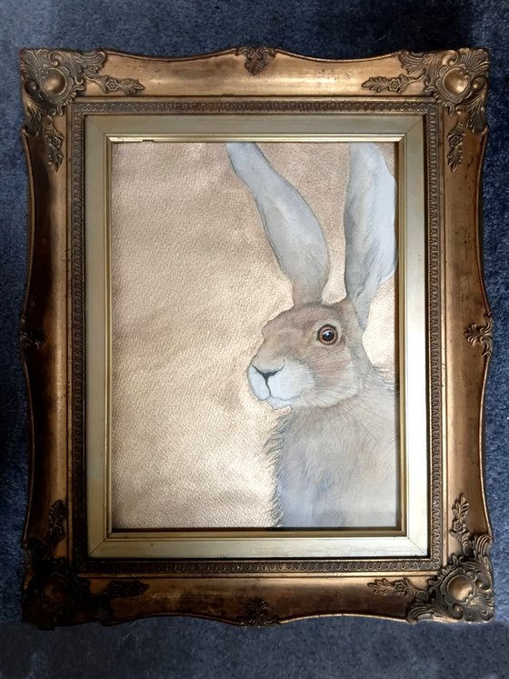 'TALIESINS HARE'