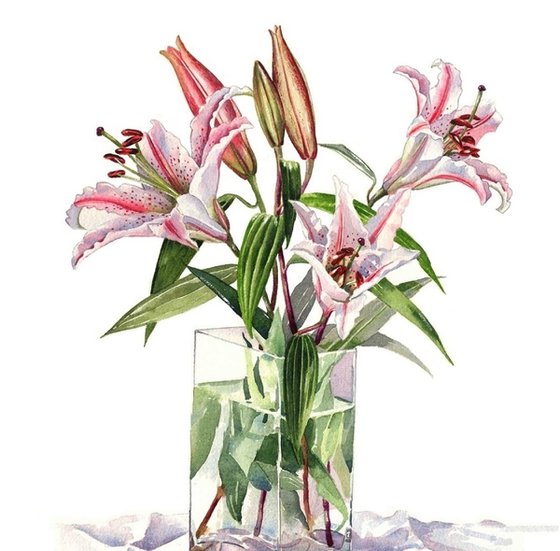 Stargazer Lilies