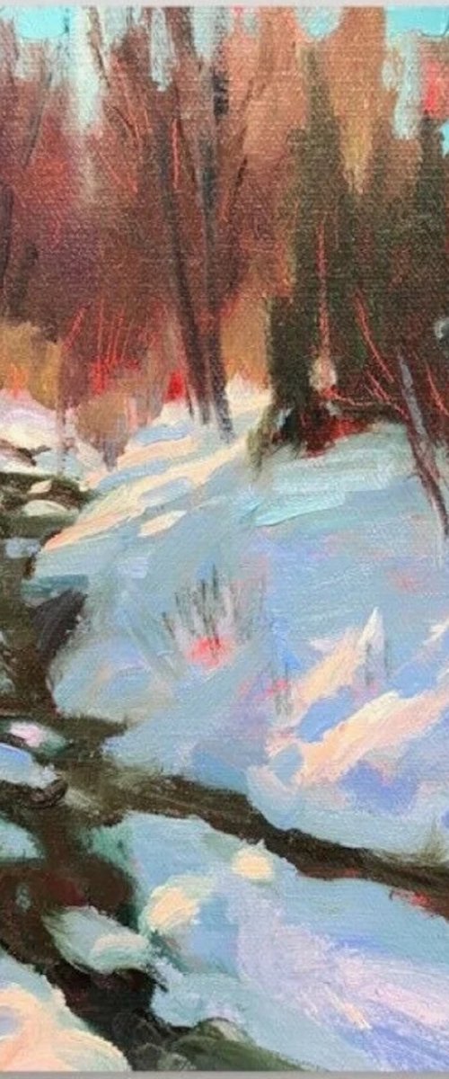 Winter Sun by Emily Lane