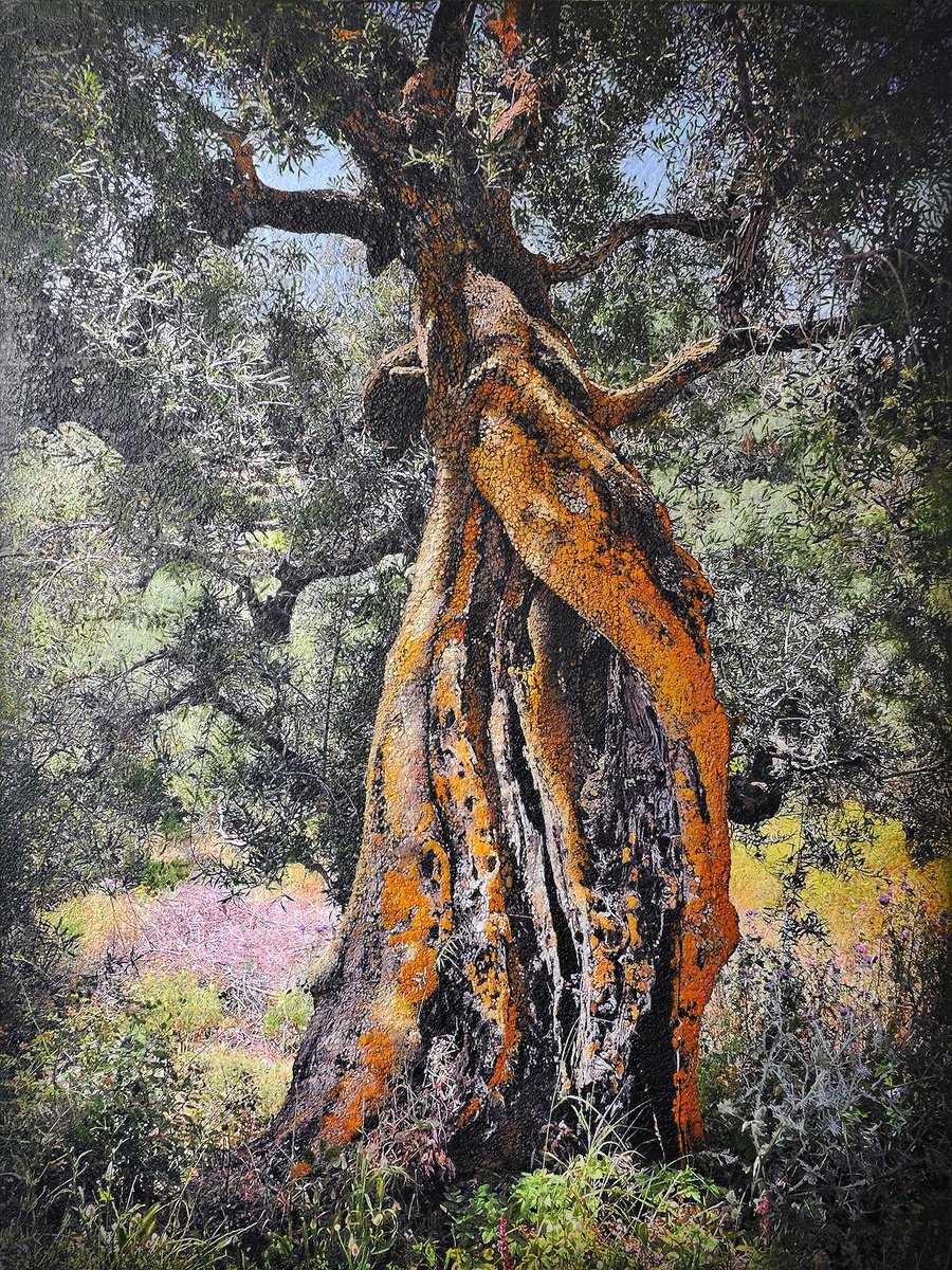 Photorealistic Landscape Painting By Karin Vermeer, 59 X 79", Olive Tree, Kerion, Zakintos, Original Artwork