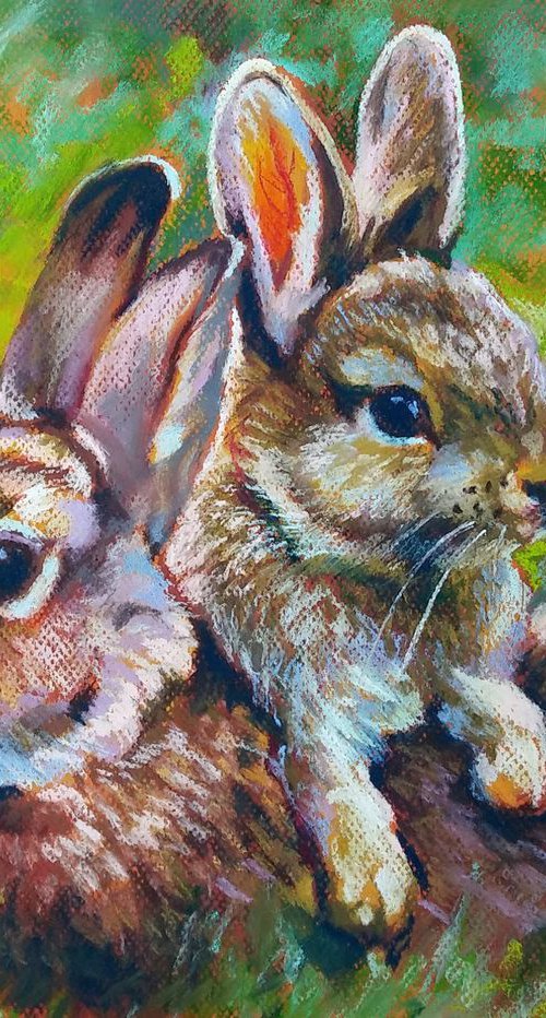 Bunnies by Magdalena Palega