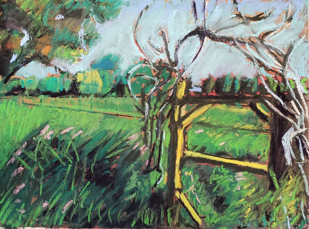 Country fence by Leah Kohlenberg Fine Art