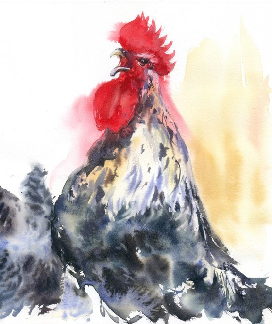 Rooster and hen.