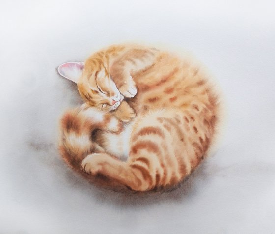 Ginger cat curled up and sleeping  - Red Cat - Red headed cat - tabby cat - watercolor cat