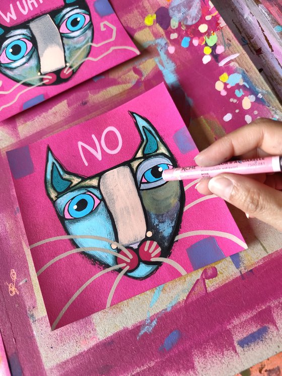 No cat