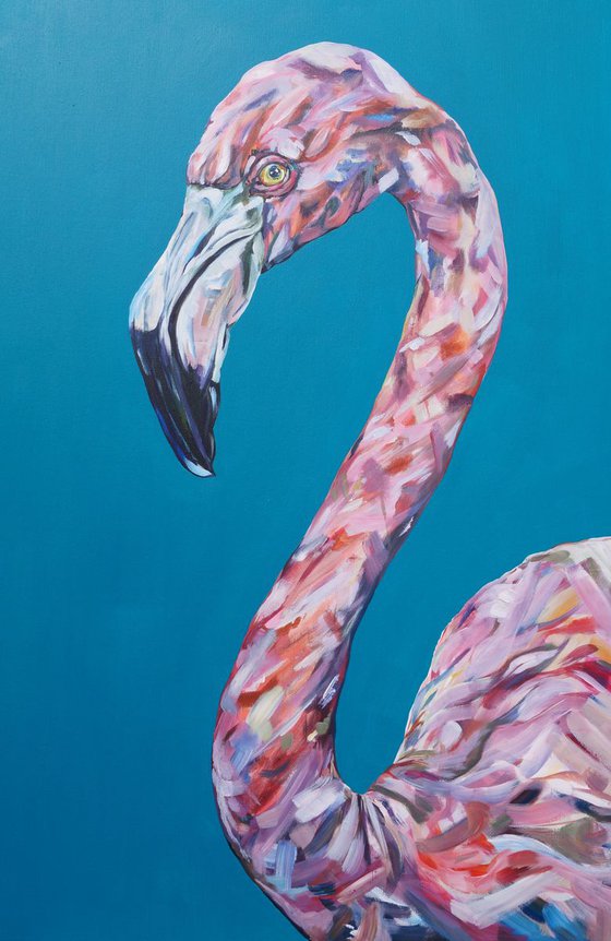 Funky Flamingo
