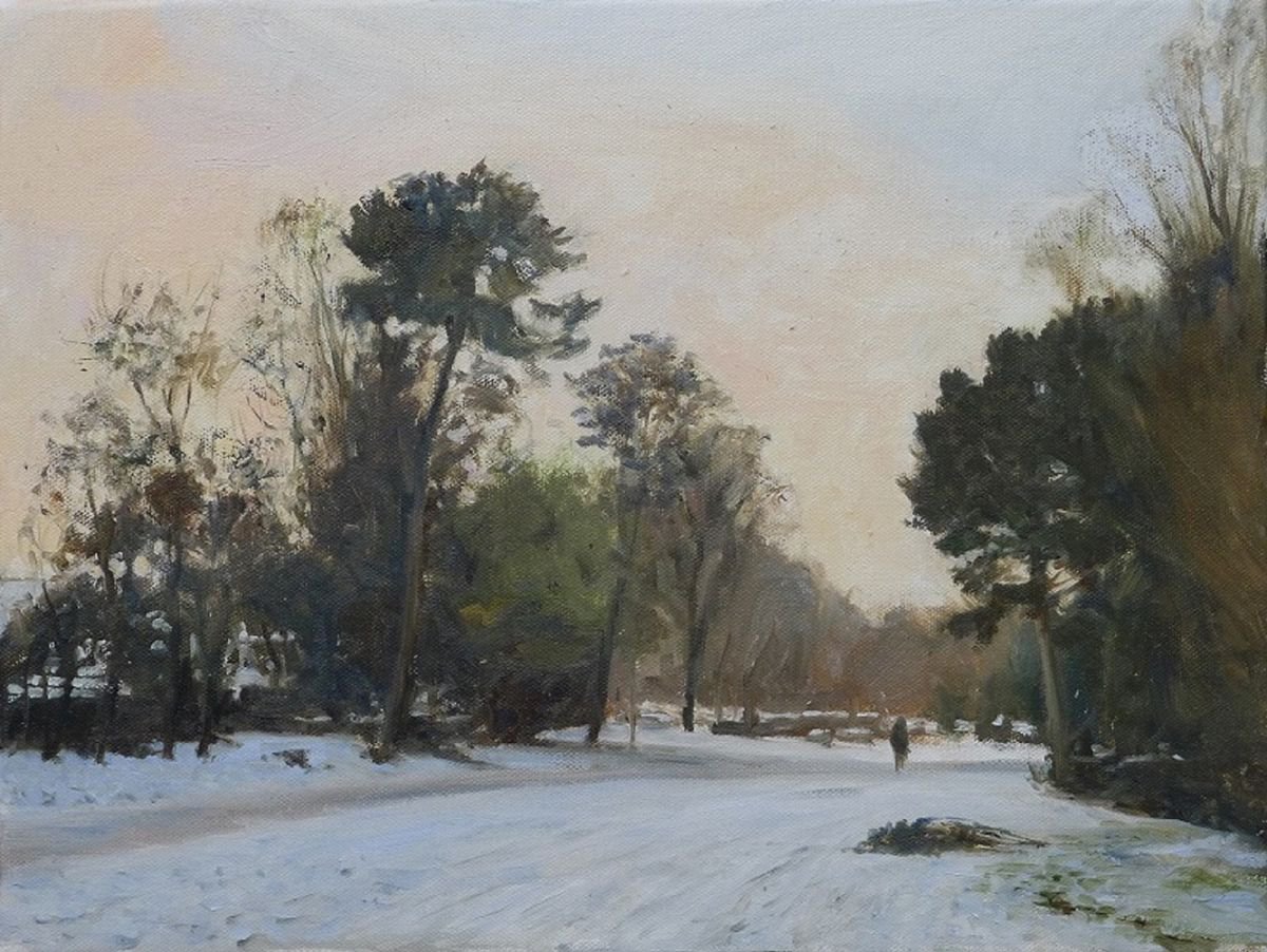 Ravenscroft Park Snowscape by Martin Norris