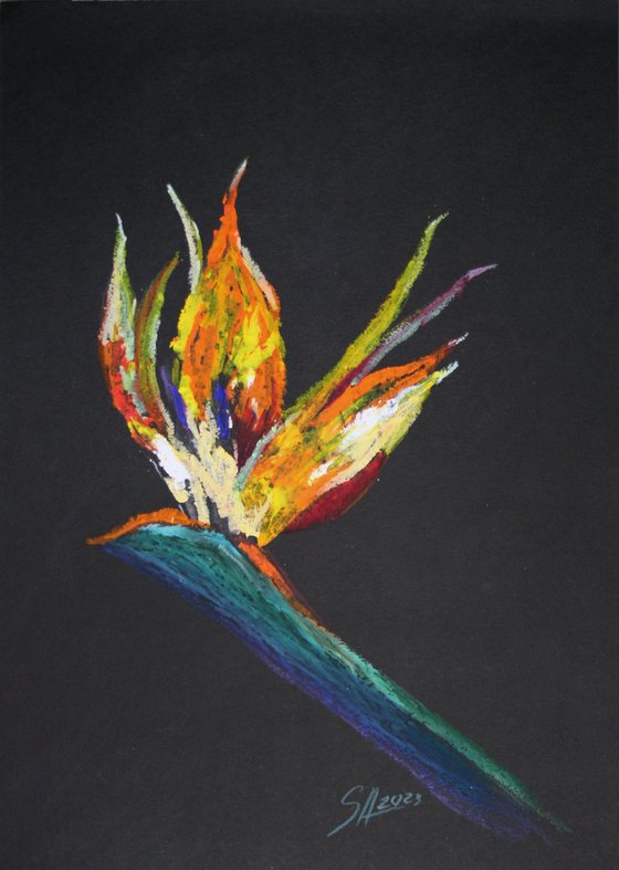 Strelitzia / ORIGINAL OIL PASTEL PAINTING