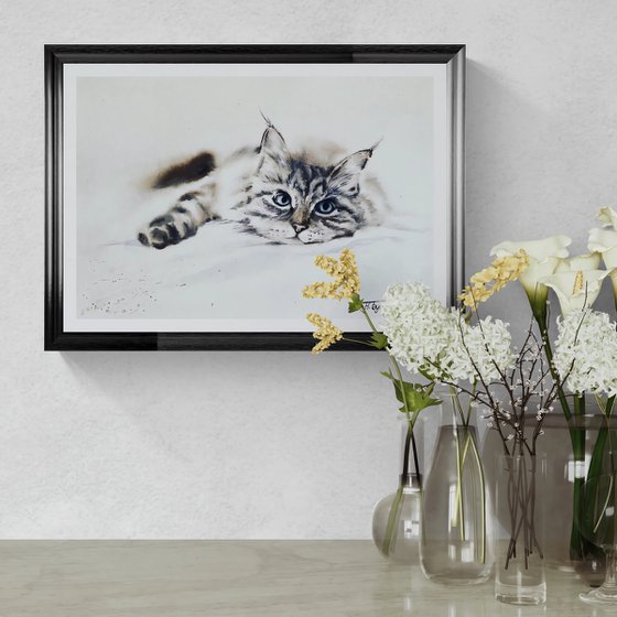 Resting cat, Let’s take a rest