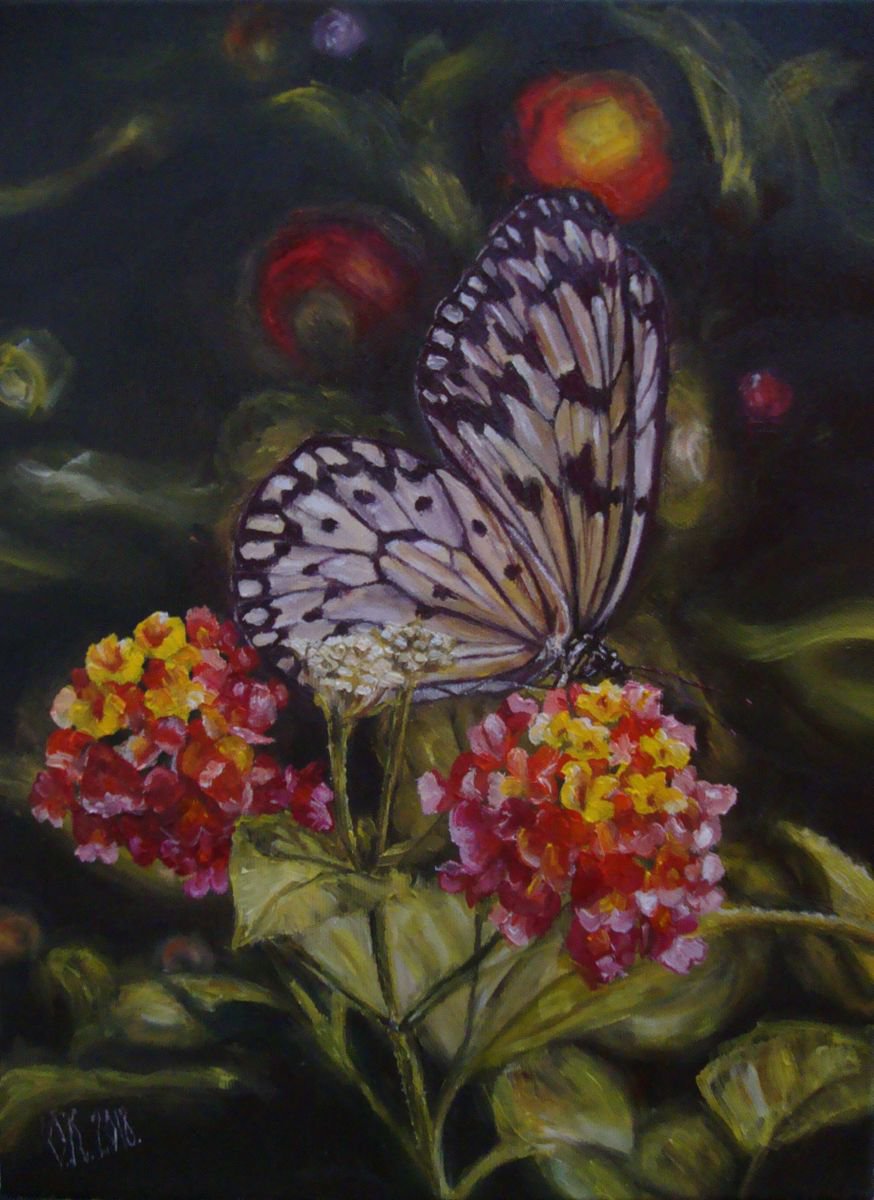 White butterfly by Olga Knezevic