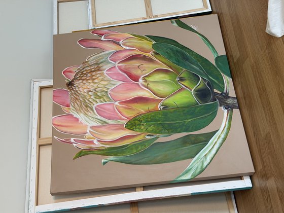 Crowned Protea