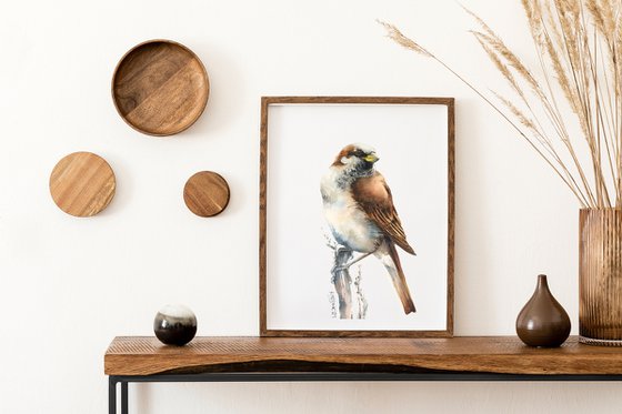 House sparrow in watercolor