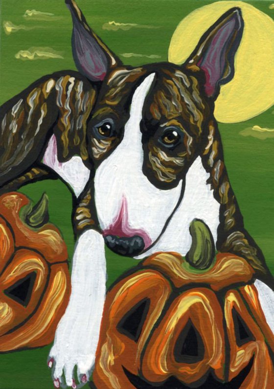 ACEO ATC Original Miniature Painting Halloween Bull Terrier Dog Art-Carla Smale