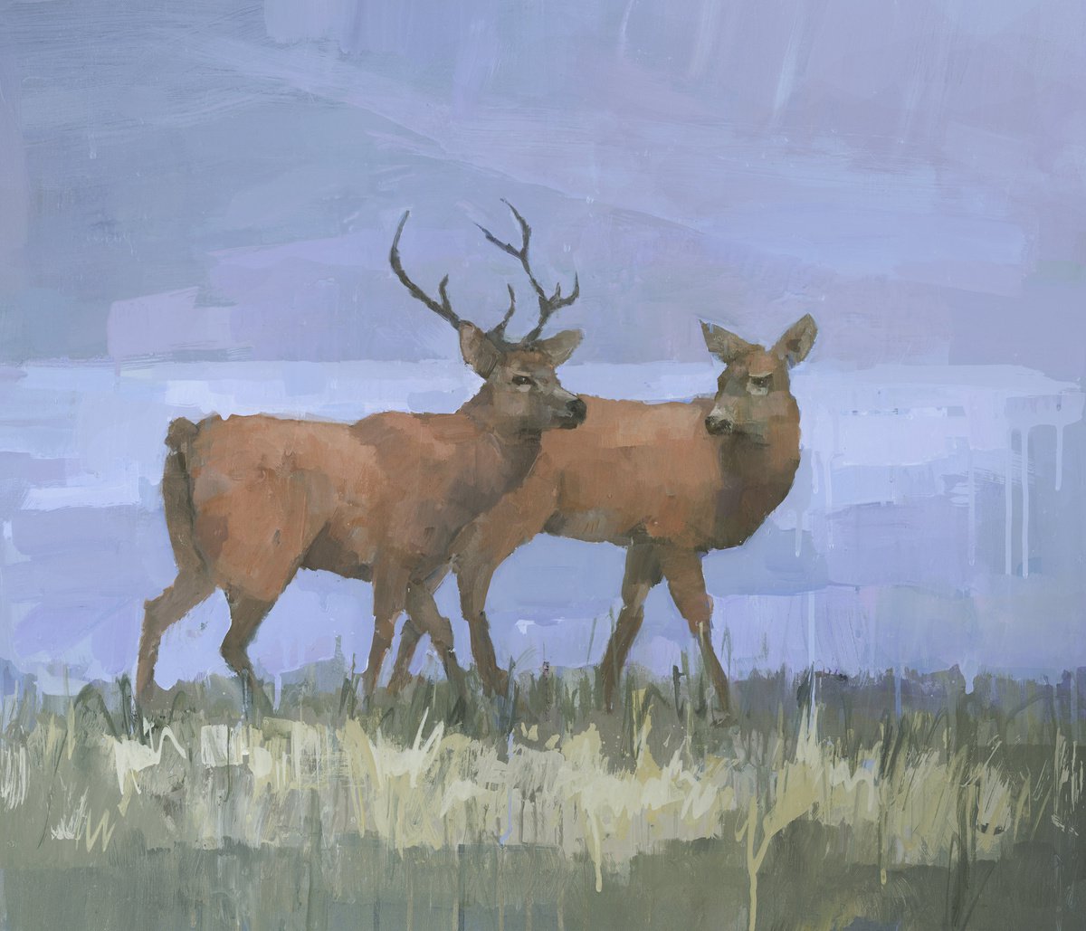 Two Red Deer by Steve Mitchell