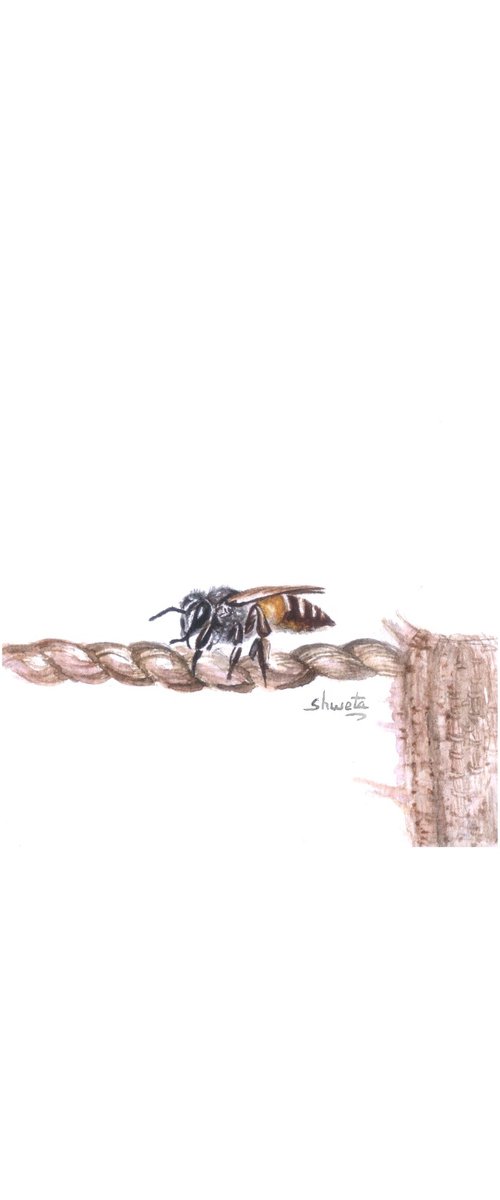 Honey Bee by Shweta  Mahajan