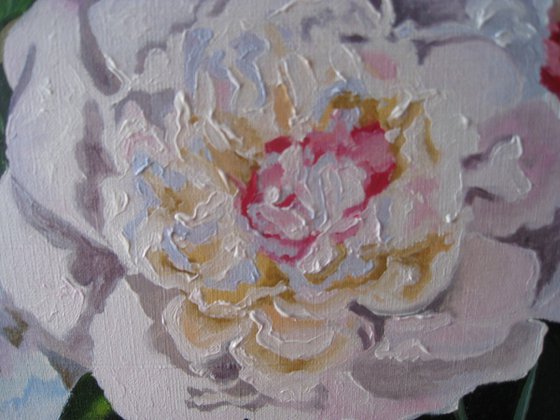 White Peonies in the Sun, Summer Garden Scene