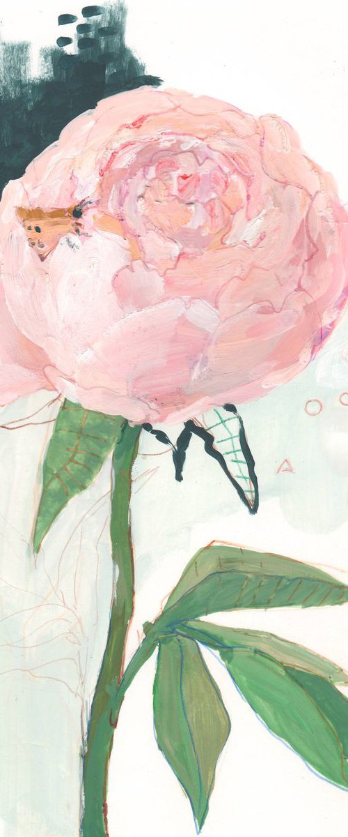 Peony. Gouache study #2 by Anastasia Mazur-Skrobova