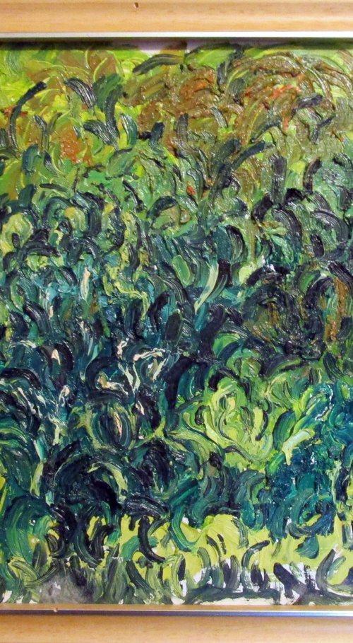 2023-vi-04 Vegetation in the Highlands by Richard Meyer